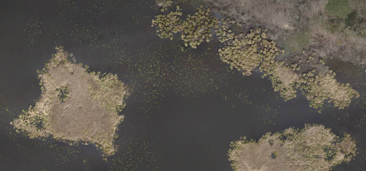 Etang-orthophoto-drone-extrait relevé drone étang pour étude environnementale