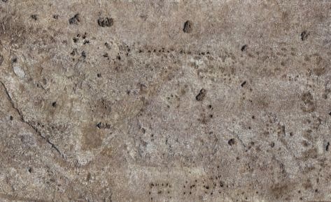 Cartographie par drone, timelapse et webmapping 32 Poiré-sur-Velluire – orthophotographie par drone au service de l’archéologie