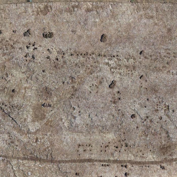 orthophotographie archéologie