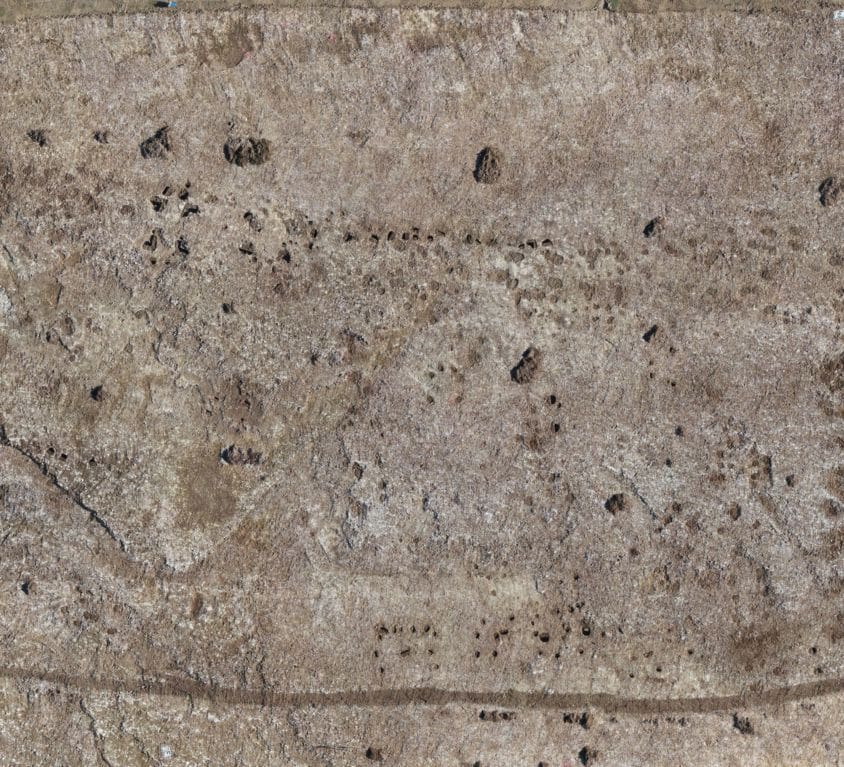 Poiré-sur-Velluire – orthophotographie par drone au service de l’archéologie