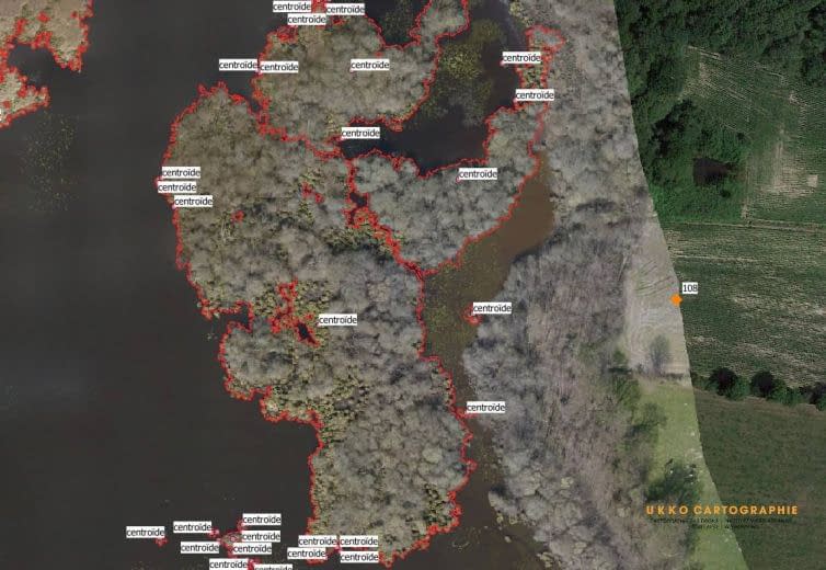Drone et étude environnementale 1 vectorisation d'une orthophotographie